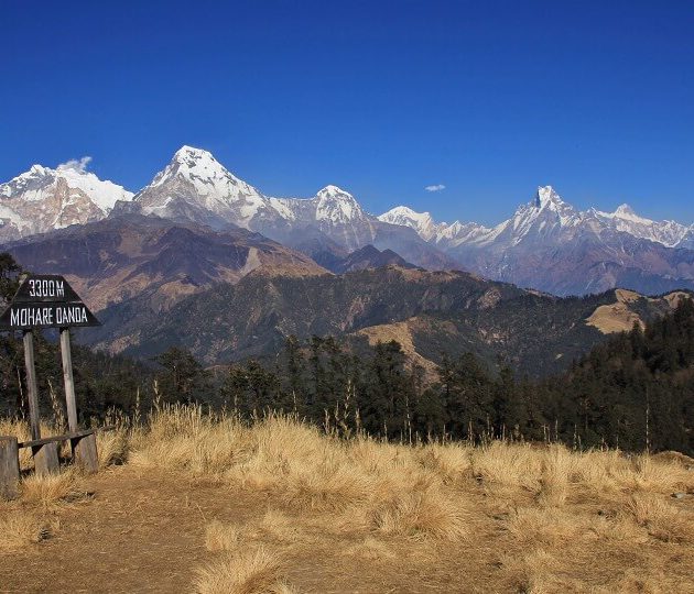 Annapurna community trek - view from Mohare Hill