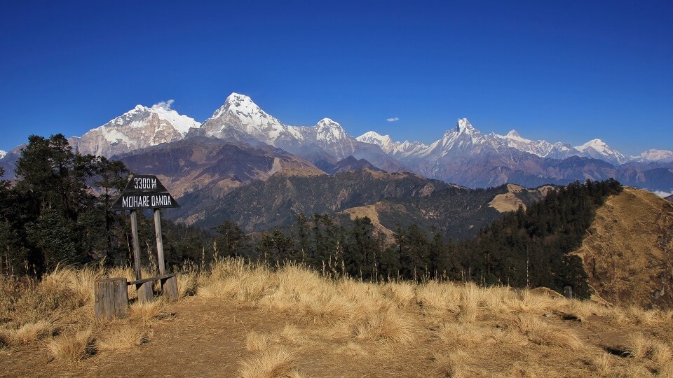 Annapurna community trek - view from Mohare Hill