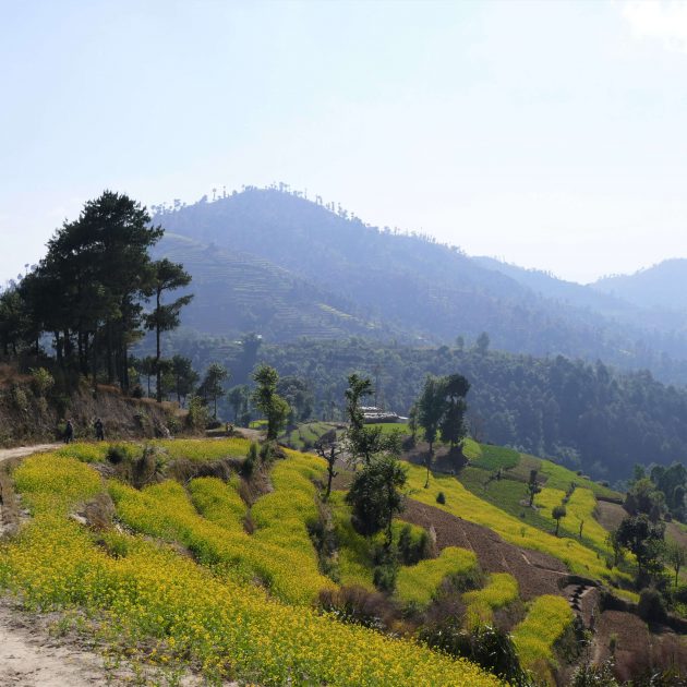 Kathmandu valley trek - walking in the hills around Kathmandu