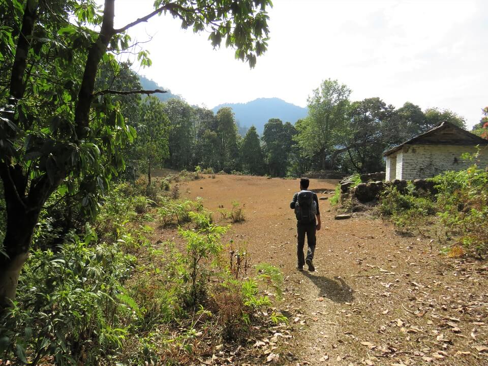 Panchase trekking – wandelen in bebost gebied waar er enkele huisjes staan