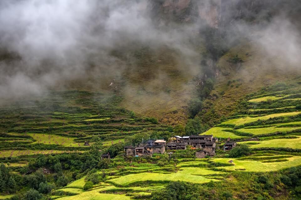 Manaslu met Tsum vallei trek – bergdorpje tussen groene weides tijdens de trekking
