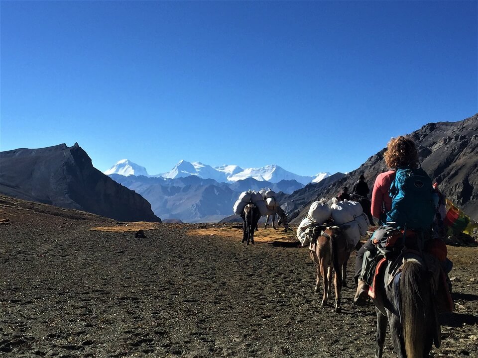Upper Dolpo trek – paardjes met bagage en trekster tijdens trekking