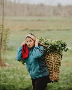 Nepalese woman carrying basket